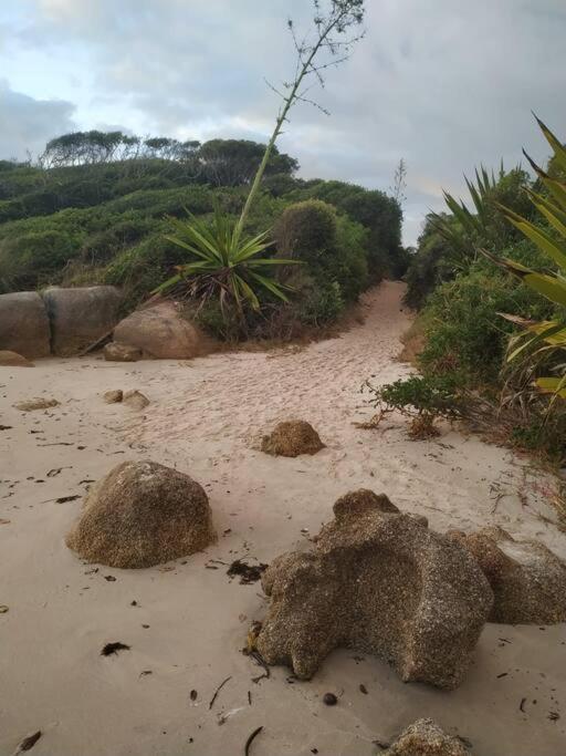 Apto 80M Da Praia Grande Vista Mar! Governador Celso Ramos Luaran gambar